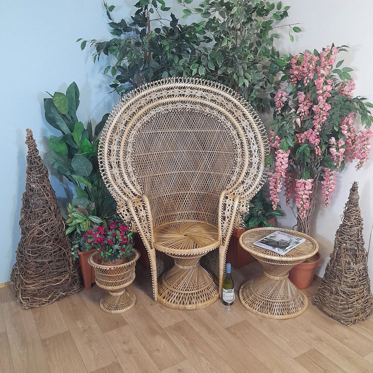 Wicker fan chairs hotsell