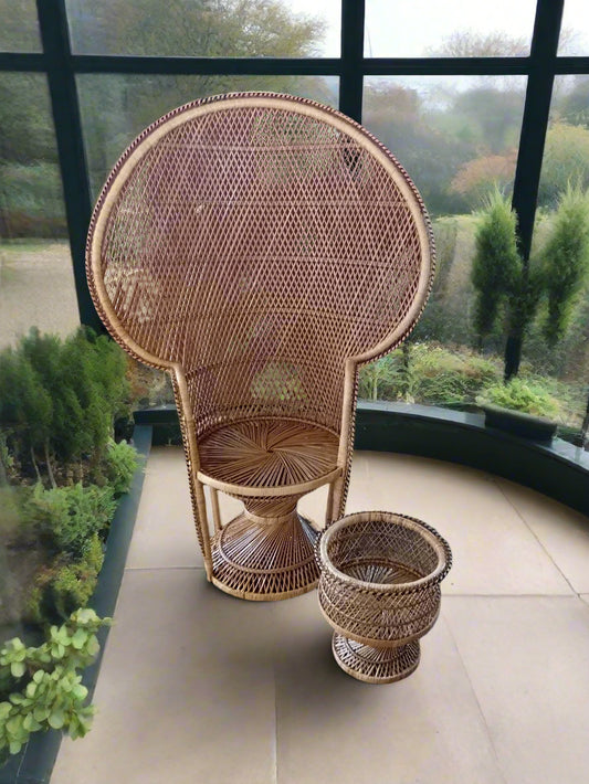 Natural Twist Base Peacock Chair and Free Planter.