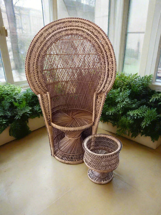 Natural Majestic Chair and free Planter.